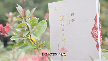 培养人才